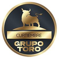 logo-curtiembre grupo toro